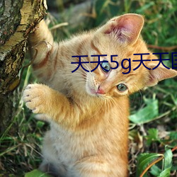 天天5g天天國外地址