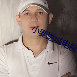 小(小)麦(麥)进城电(電)视剧(劇)全集在线观