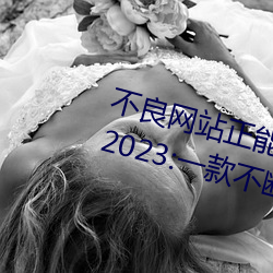 不(不)良网站(站)正能量软件(件)窗口下(下)载(載)免费(費)2023:一(一)款不断更新更多(多)优