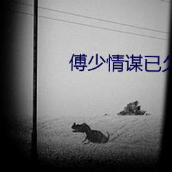 傅少情谋已久 （冰冻三尺，非一日之寒）