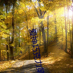 爱神巧(qiǎo)克力第三季(jì)