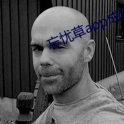 忘忧草app成年版聚下载