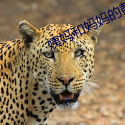 凯时|AG(AsiaGaming)优质运营商