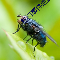 金年会 | 诚信至上金字招牌