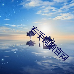 右手视频官(guān)网
