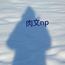 肉文np