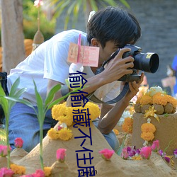 偷偷藏不(bù)住剧组道歉