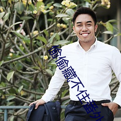 偷偷藏(cáng)不住(zhù)番外
