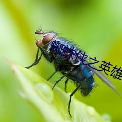 蜘蛛俠之英雄無歸免費觀看