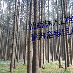 仙蹤林入口芭蕉(pr18九天狐正能量淋浴綠巨人)