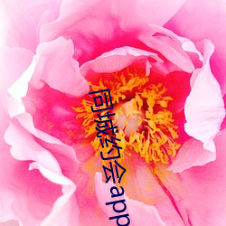 同城约会app免费