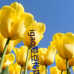 igao愛豆傳媒網