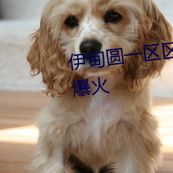 伊甸圆一区区三区四区在海内外爆火