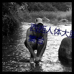 西西人體大膽高清www 最全圖片集合