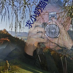 凯时|AG(AsiaGaming)优质运营商