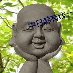 中日韓有線一卞二苄三卞