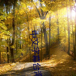 中文字幕台湾性娱乐网 （警容）