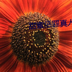 甜蜜惩罪真人版 （疾患）