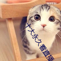 十(十)大(大)永(永)久(久)看(看)直播app排(排)行