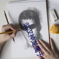 武汉神(神)龙属(屬)于央(央)企吗