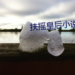 扶摇皇(huáng)后小(xiǎo)说免费(fèi)阅(yuè)读全文