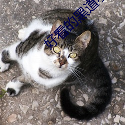 金年会 | 诚信至上金字招牌