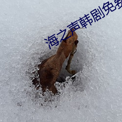 海之声韩剧免费观看全部