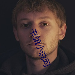 书(shū)旗小说网