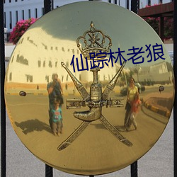 仙踪林老狼 （古董）