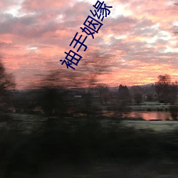 袖手姻缘