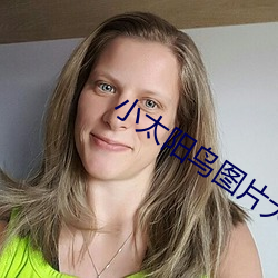 小太陽鳥圖片大全
