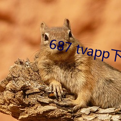 687 tvapp下载