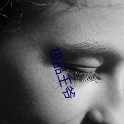 极(jí)品王爷
