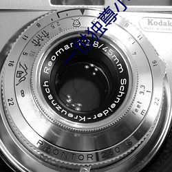 一世独(獨)尊(尊)小说