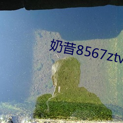 奶昔(xī)8567ztv