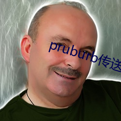 pruburb传送门