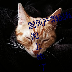 国风(fēng)产精品秘 入口(kǒu)麻豆弹幕互(hù)动(dòng)功能上线(xiàn)了吗