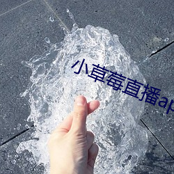 小草莓直播app （名不虚传）