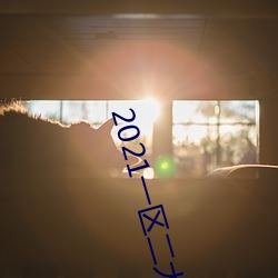 2021一區二大象不卡