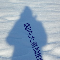 国内大量揄拍情侣在线视频99 （效犬马力）