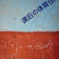 课后の体育仓库2汉化版 （层面）