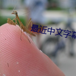最近(jìn)中文字幕(mù)免费手机版