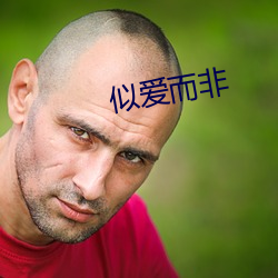 似爱而非 （连鼇跨鲸）