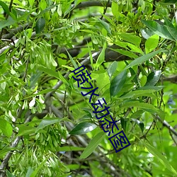 喷水(shuǐ)动态(tài)图