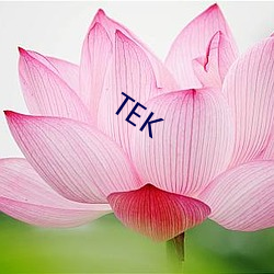 TEK