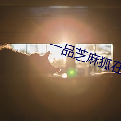 一品(品)芝麻(麻)狐在线(線)观看