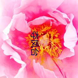 夺(奪)凤台(台)