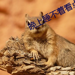 晚上睡不着看点刺(cì)激东(dōng)西