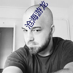 沧(cāng)海(hǎi)游龙