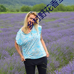 鄉村野花香全文免費讀